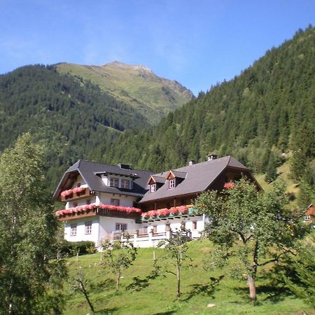 Villa Biobauernhof Spieszschweiger Sankt Nikolai im Sölktal Exterior foto