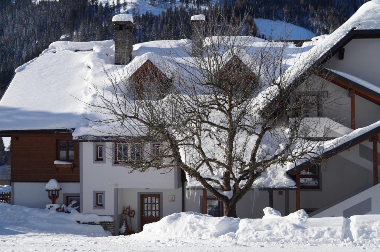 Villa Biobauernhof Spieszschweiger Sankt Nikolai im Sölktal Exterior foto