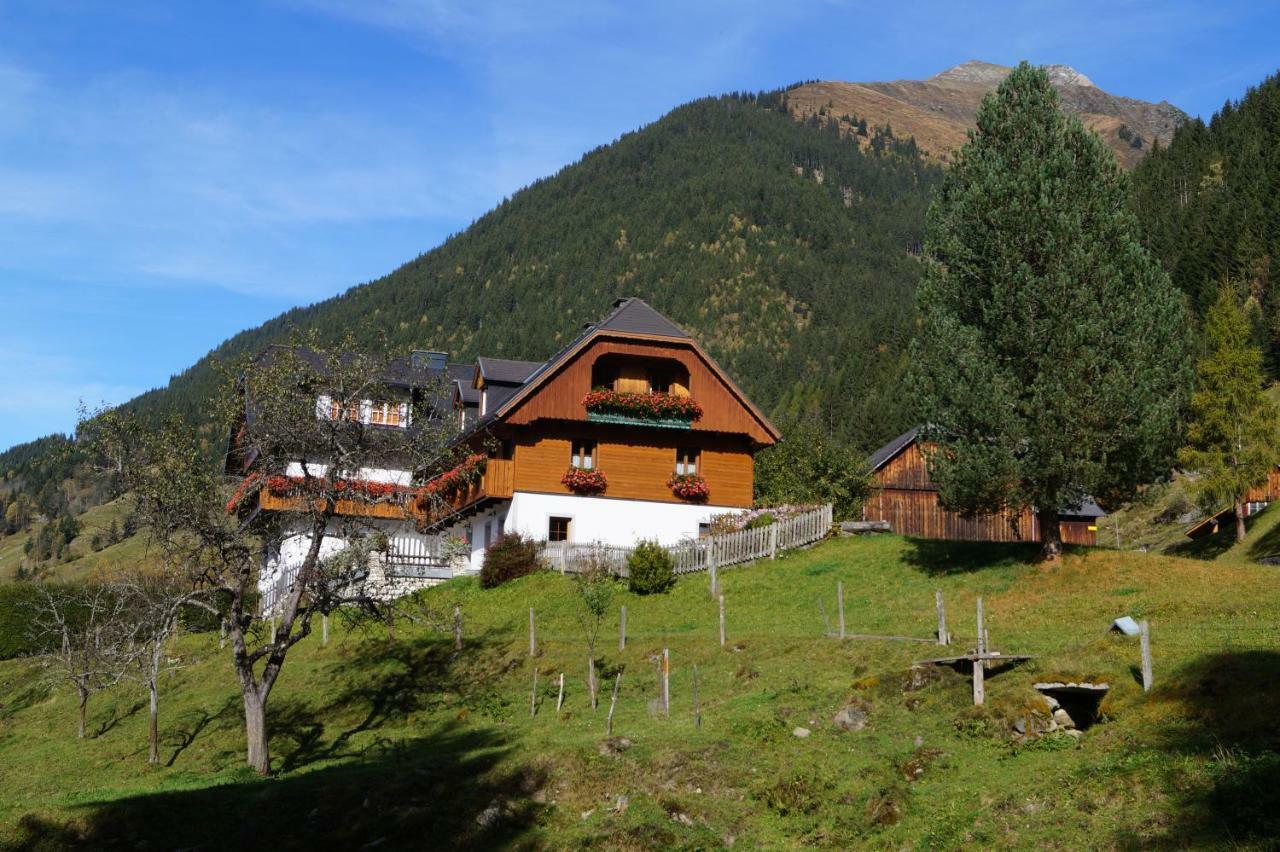 Villa Biobauernhof Spieszschweiger Sankt Nikolai im Sölktal Exterior foto