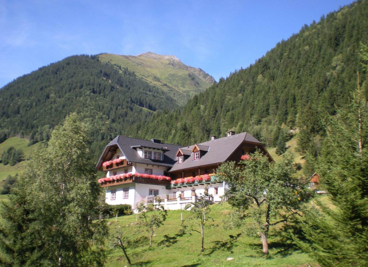 Villa Biobauernhof Spieszschweiger Sankt Nikolai im Sölktal Exterior foto
